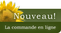 Nouveau : la commande en ligne