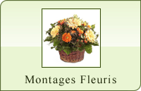 Montages de fleurs